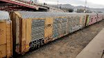 CSX T12495 CTTX 690119